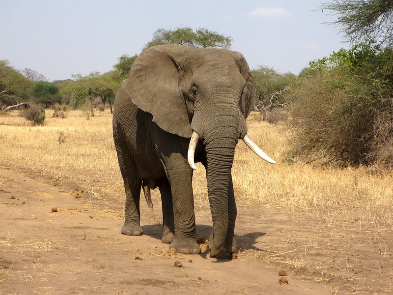 Conservation