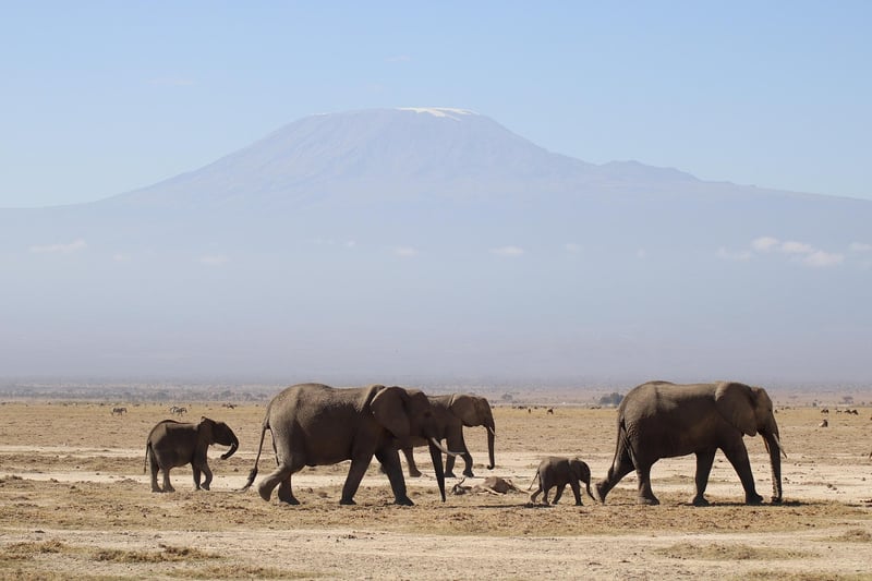 Mount Kilimanjaro, Tanzania